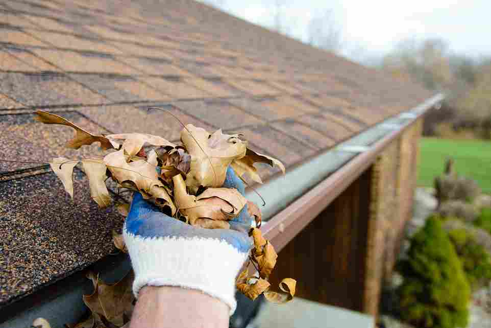 Gutter Cleaning Services